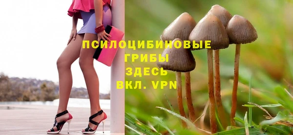 apvp Алексеевка
