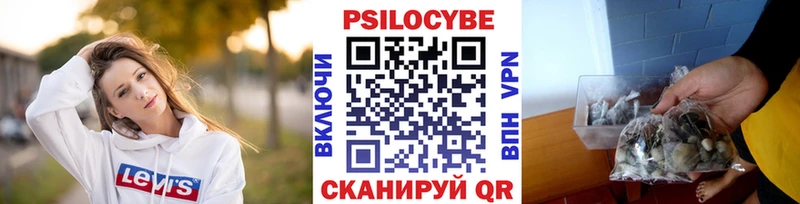 Галлюциногенные грибы GOLDEN TEACHER  маркетплейс наркотические препараты  Сольвычегодск  наркотики 