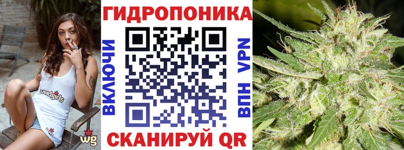 hydra как зайти  цены   Сольвычегодск  Бошки марихуана тримм 